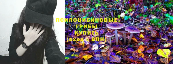 ГАЛЛЮЦИНОГЕННЫЕ ГРИБЫ Братск