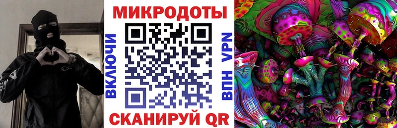 Псилоцибиновые грибы Cubensis  Кисловодск 